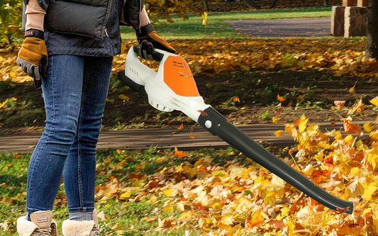 Keep Your Garden Clean and Beautiful at All Times